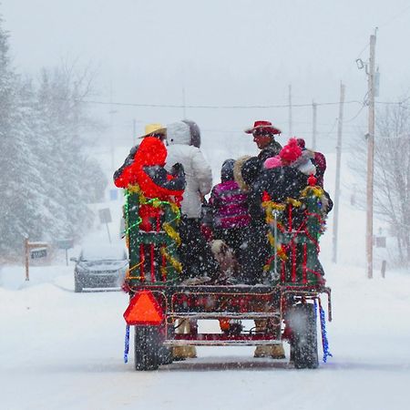 Le Gite Ambrelane Thetford Mines Exterior foto